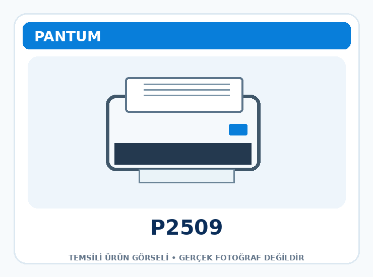Pantum P2509