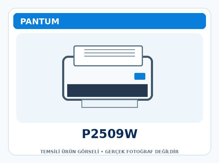 Pantum P2509W