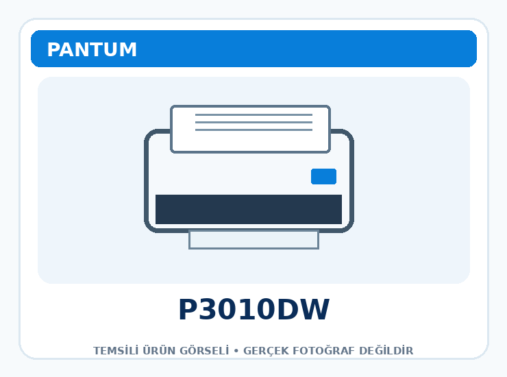 Pantum P3010DW